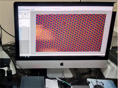 國產顯微鏡熒光模塊和相機助力OLED行業(yè)-廣州明慧