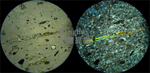 單偏光鏡下觀察，左側(cè)是沒加偏光，右側(cè)是加偏光的