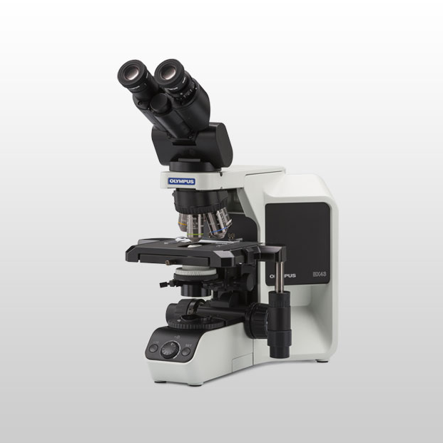 奧林巴斯生物顯微鏡BX43