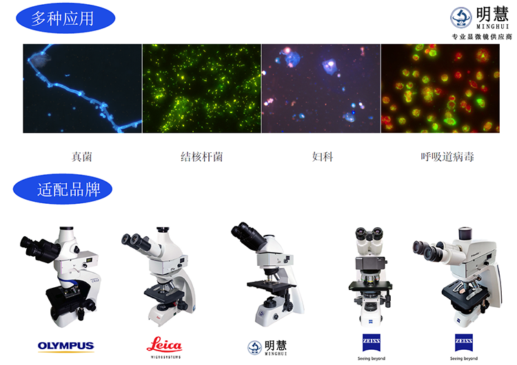 顯微鏡熒光模塊適配品牌及應(yīng)用-廣州市明慧科技有限公司