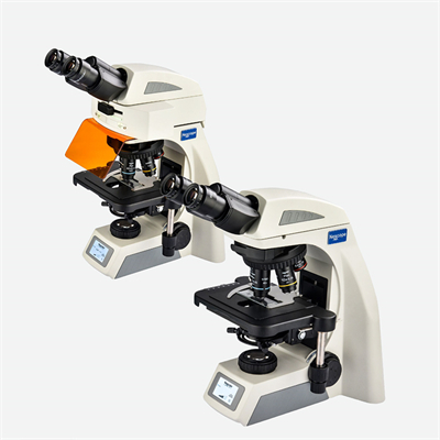 正置生物實(shí)驗顯微鏡NE610/NE620