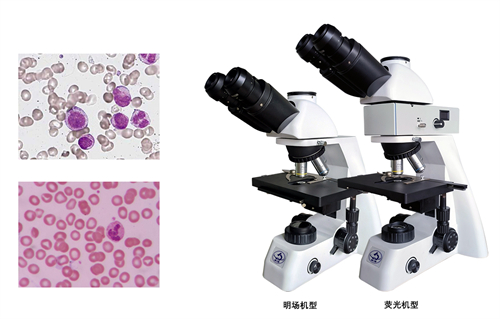 數(shù)碼生物顯微鏡MHL3000 明慧科技