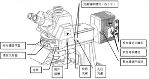 熒光顯微鏡機構圖-廣州明慧