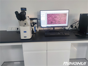 倒置金相顯微鏡NIM900和高清相機MHS900助力廣東東莞某消防隊
