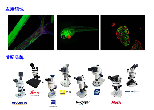 體視熒光模塊適配顯微鏡品牌型號和應用實拍效果圖-廣州明慧